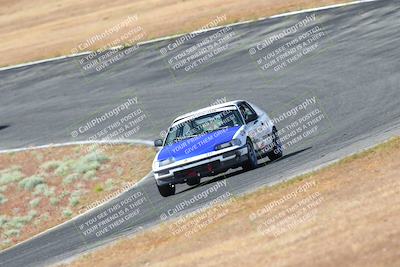 media/May-06-2023-Lucky Dog Racing (Sat) [[8f2256f436]]/Turn 2 10a/